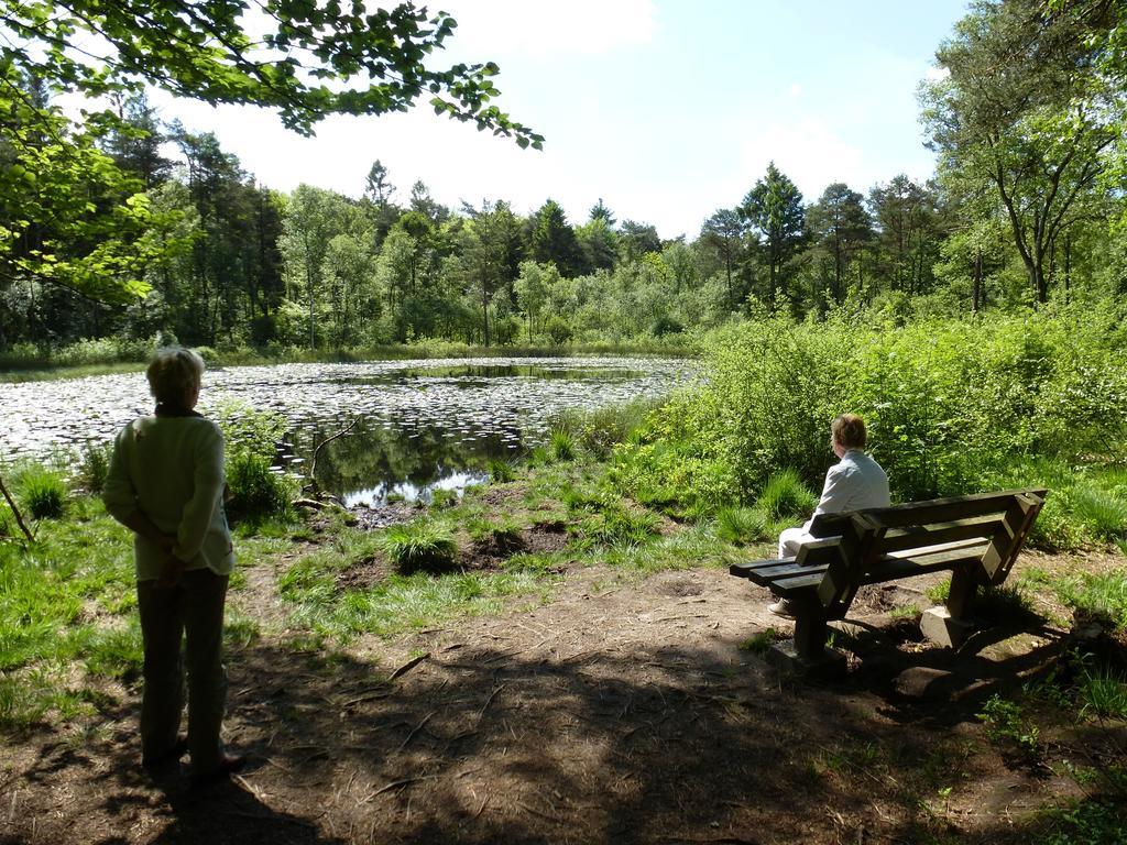 Achter De Beukenboom Bed & Breakfast Roden Bagian luar foto
